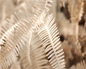 空氣改善需要靠污染源才能進(jìn)行轉(zhuǎn)移，這個真不能這樣下結(jié)論